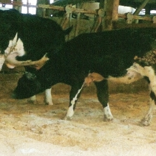 床カラっと12(20kg)