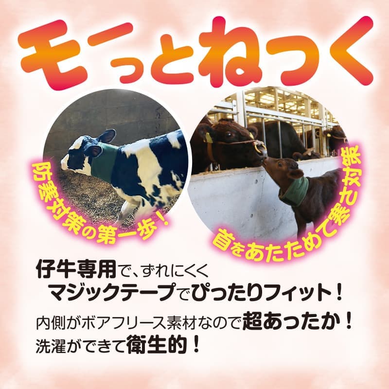 モーっとねっく【蓄熱タイプ】親牛用(オレンジ)