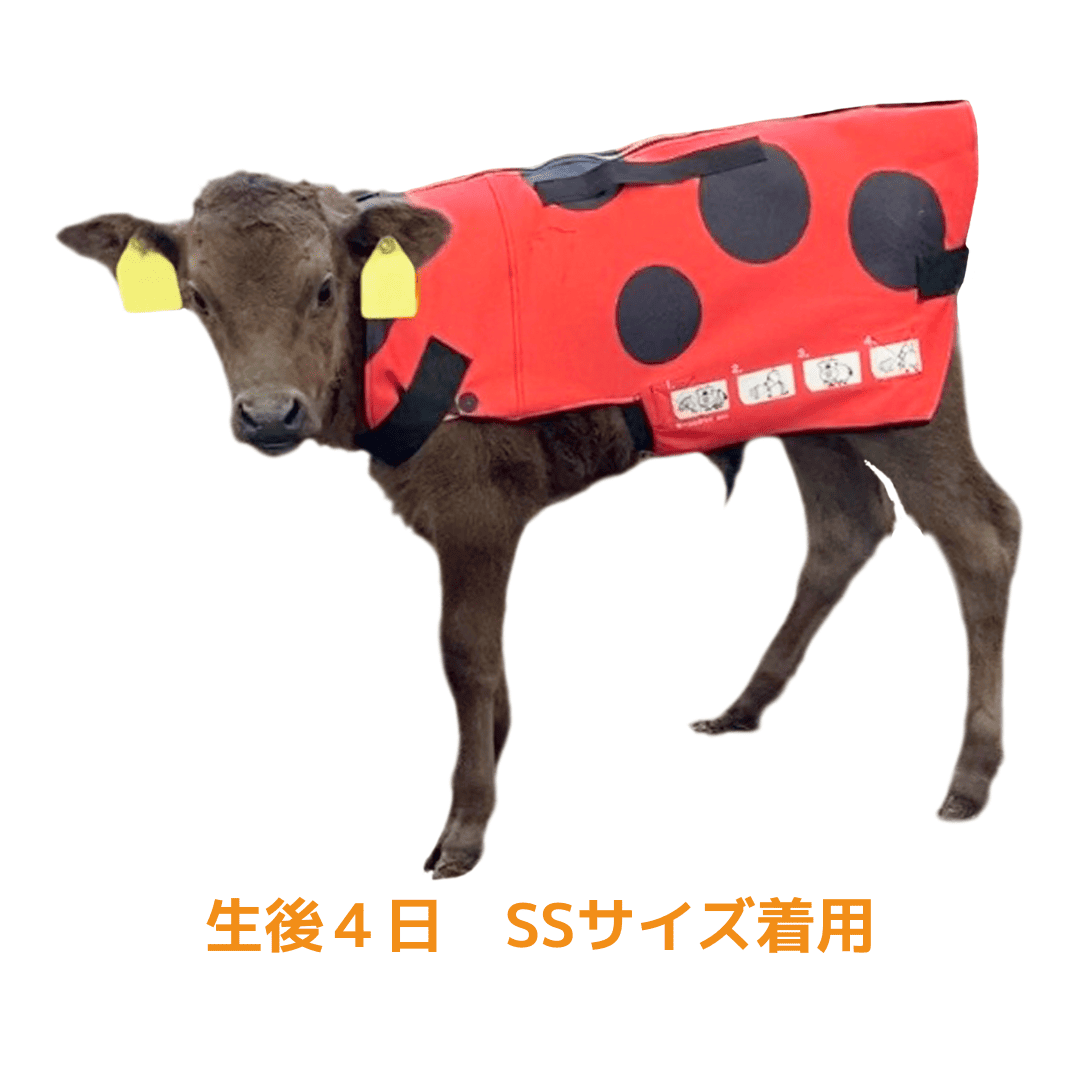 モーっとほっと 仔牛用防寒コート
