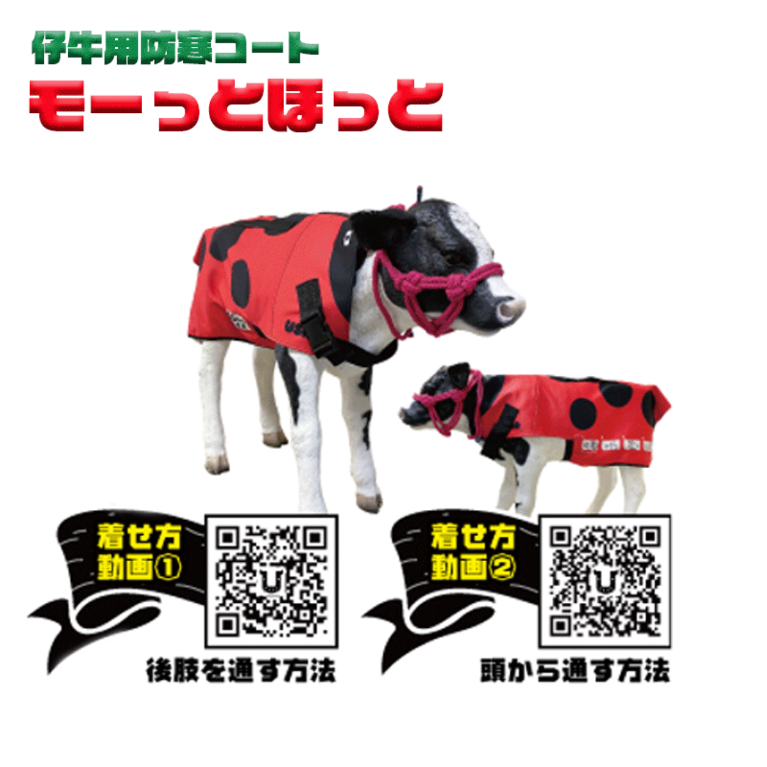モーっとほっと 仔牛用防寒コート