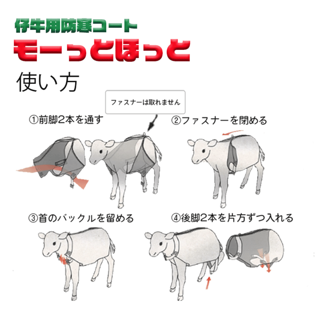 モーっとほっとプレミアム 仔牛用防寒コート