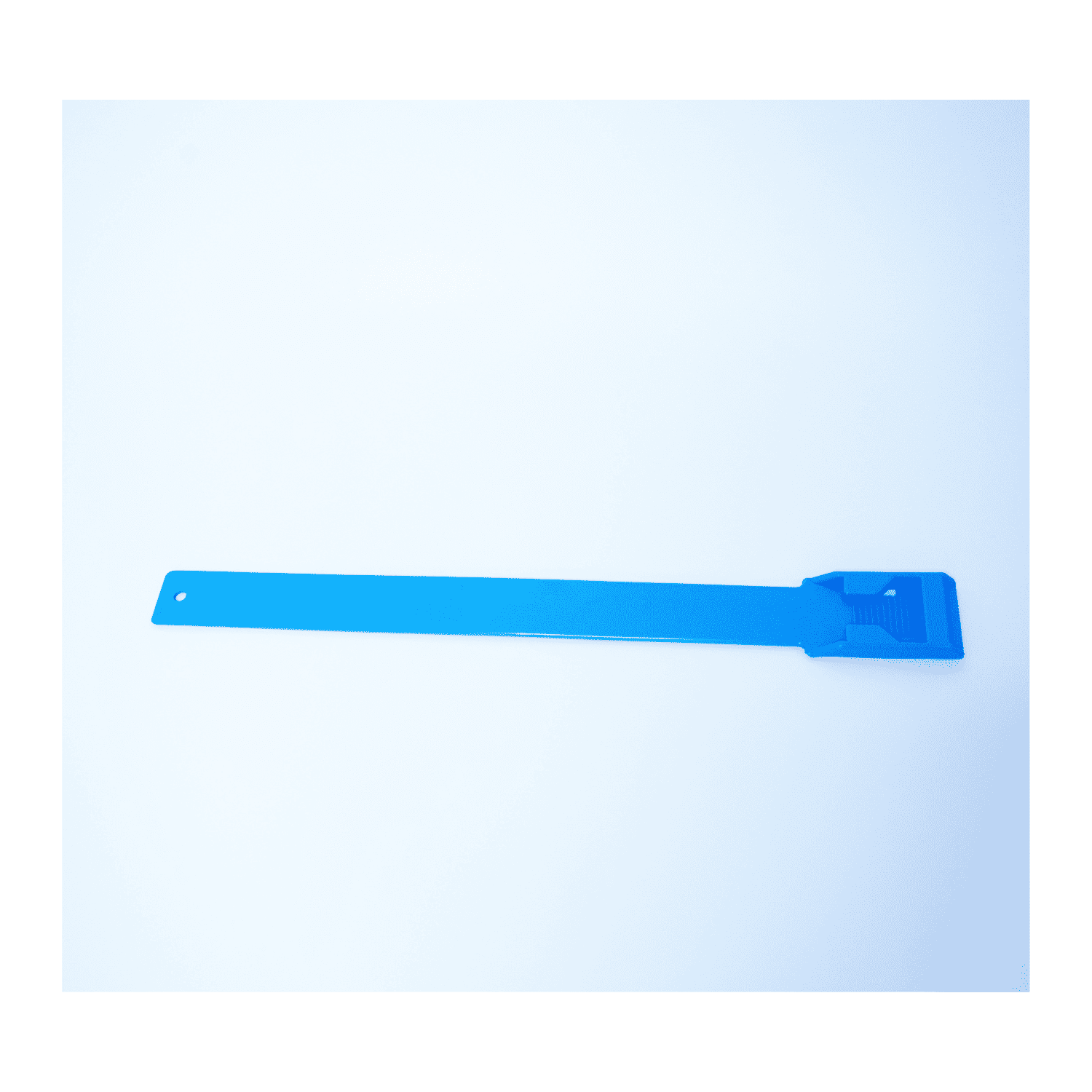 足バンド（青） 