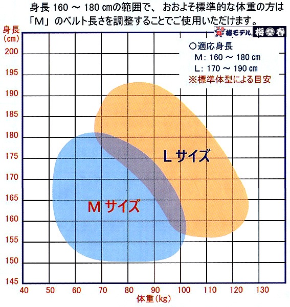 ��4����ɸ��M�������� HYF2�ڻ��Ѳ�ǽ����130kg�ۡڿ����ʡ� ������ �ե�ϡ��ͥ� ������ �������� �Ѵ�� �ʥ֥�å�����åɡ����꡼�󡦥ͥ��ӡ� ��