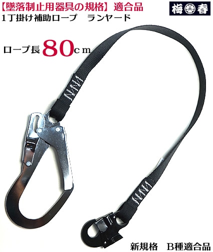 ڿʡ Ѵ   ʿ 1ݤ Ĺ8020BL-S-TSBL եå    إǥϢ