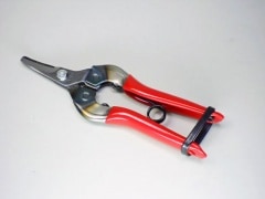 ���륹�β���