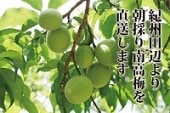 ±ÝËܤµ¤ó¤Î¡Öµª½£Æî¹âÇß ÀÄÇß¡× Ìó3kgÆþ Á÷ÎÁ̵ÎÁ¡ÊÀèÃå½çͽÌóÈÎÇä¡Ë