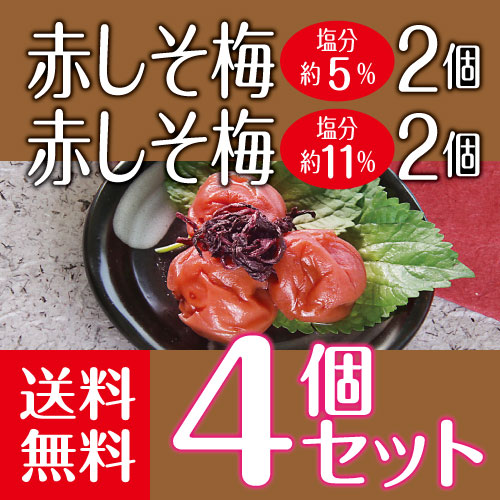 ��������ߡ��֤�����900g�ʱ�ʬ��5���2��+�ʱ�ʬ��11���2�Ĥ�4�ĥ��å�