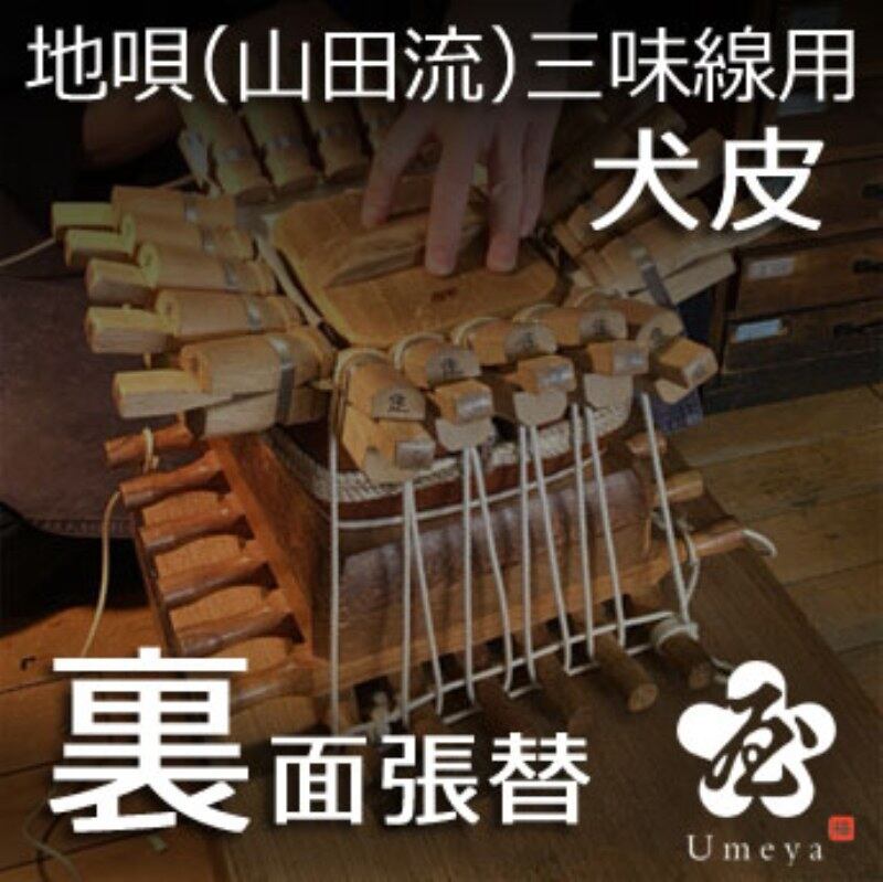 地唄三味線皮張替（山田流）裏犬／ss_ji-13
