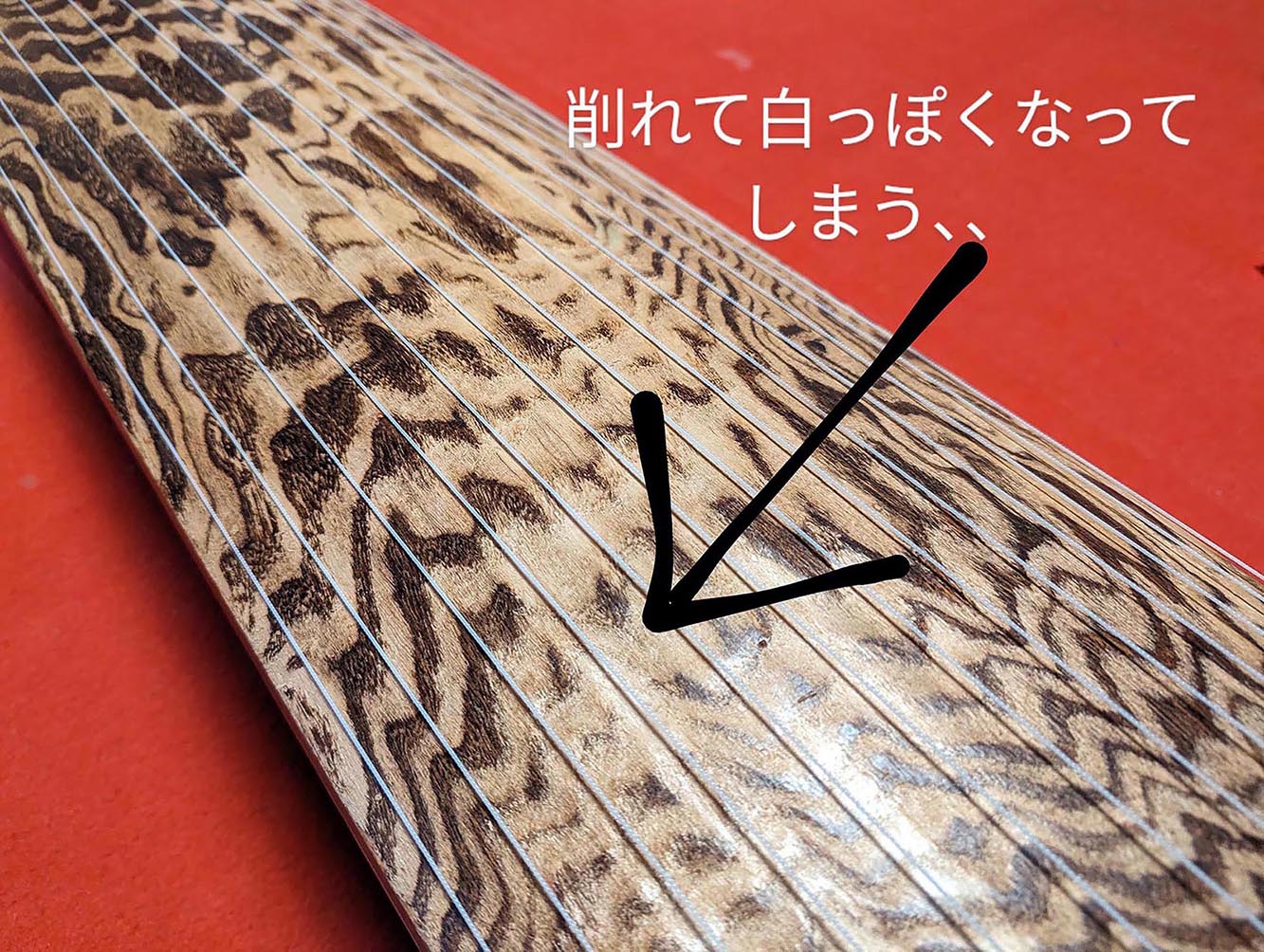白象印 琴柱セット （面取り済み）新富士・応龍／koto-am_cube444