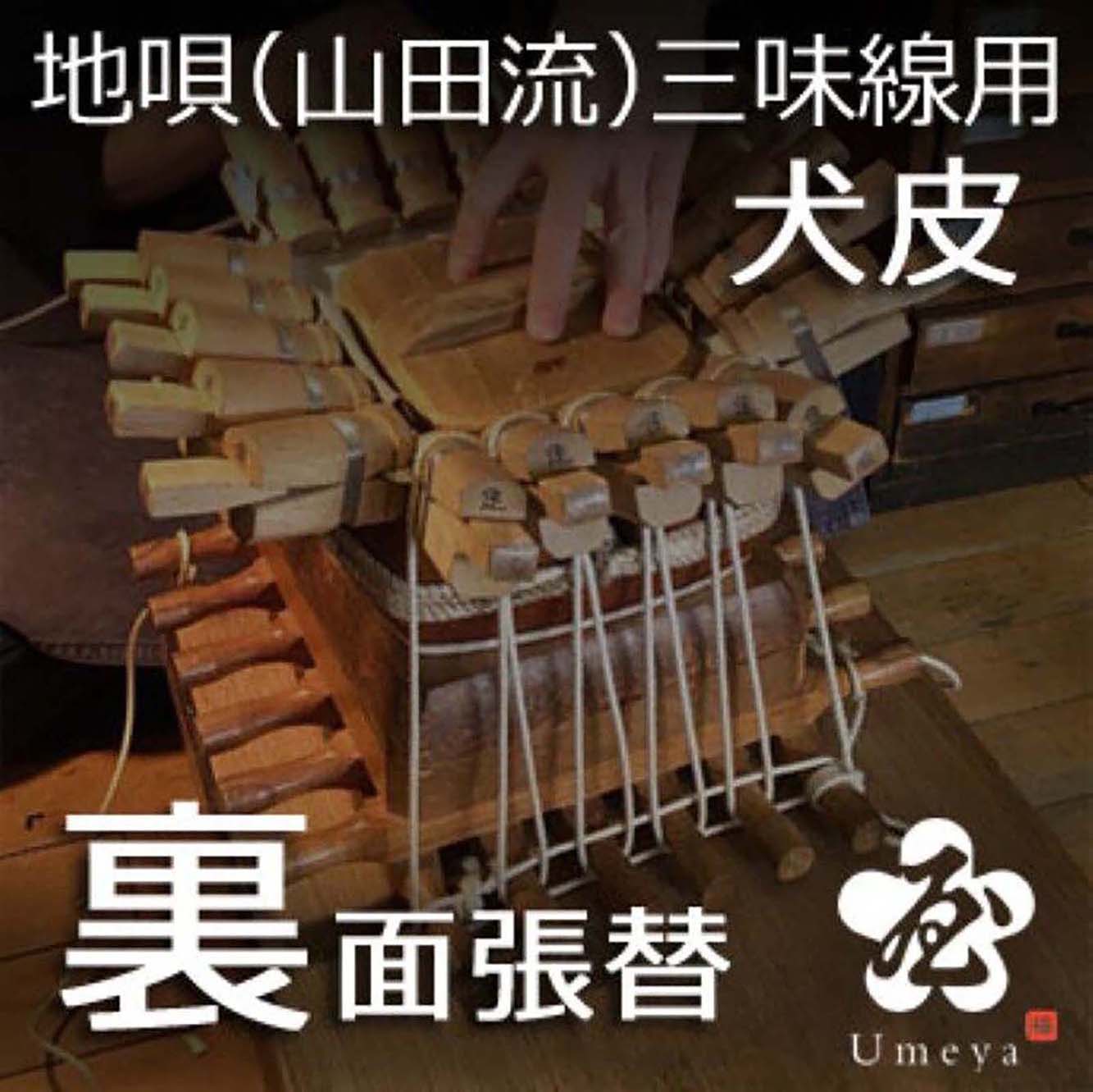 地唄三味線皮張替（山田流）裏犬／ss_ji-13