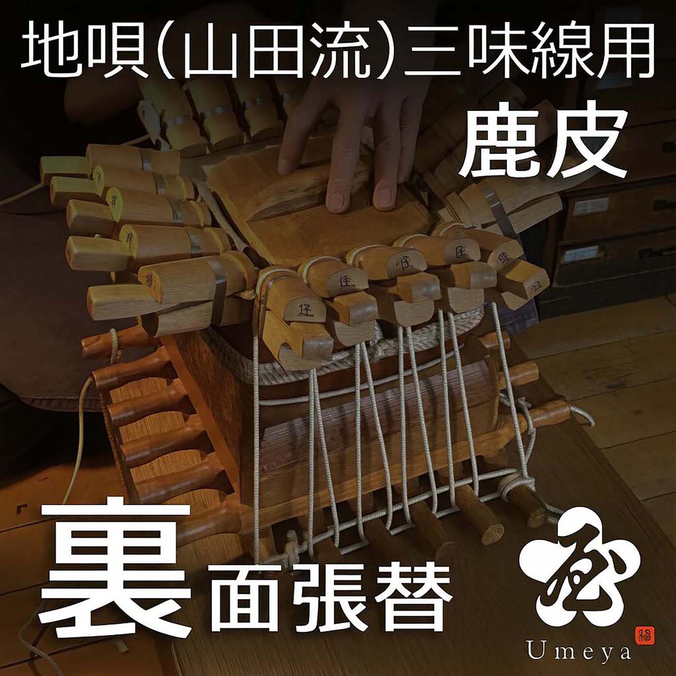 地唄三味線皮張替（山田流）裏鹿／sao-am_cube1385