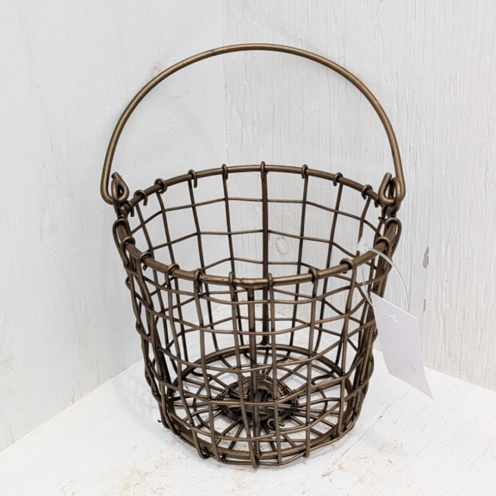 すべての商品 | 多肉植物の専門通販サイト｜実のりえん