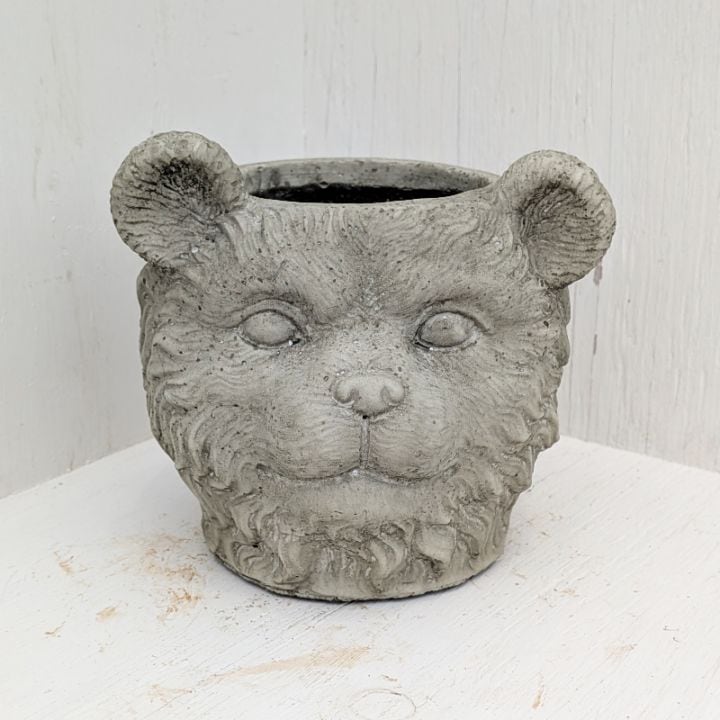 すべての商品 | 多肉植物の専門通販サイト｜実のりえん