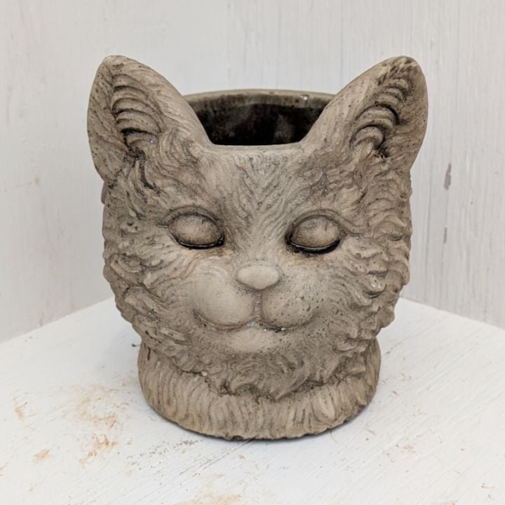 すべての商品 | 多肉植物の専門通販サイト｜実のりえん