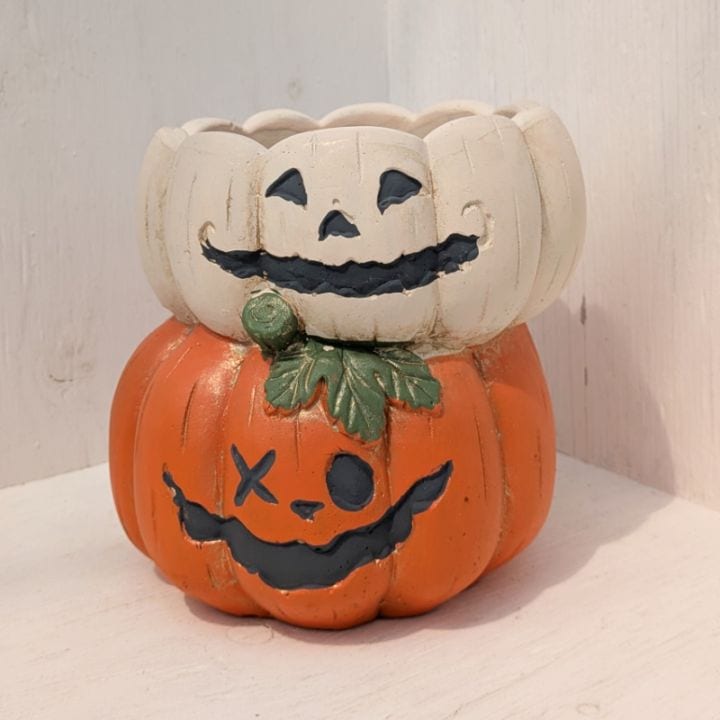 ジャックオーランタン ダブル オレンジ | 雑貨 | 多肉植物の専門通販