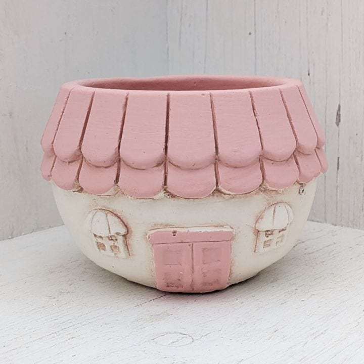 すべての商品 | 多肉植物の専門通販サイト｜実のりえん