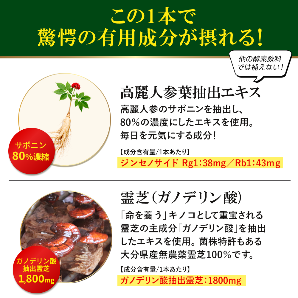 リニューアル｜ココナッツ酵素飲料自然力【単品・定期】