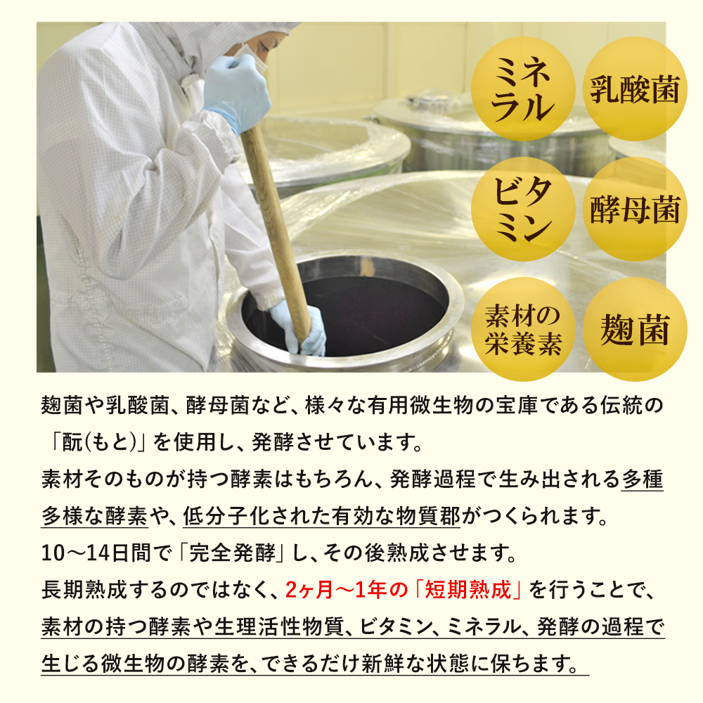リニューアル｜ココナッツ酵素飲料自然力【単品・定期】
