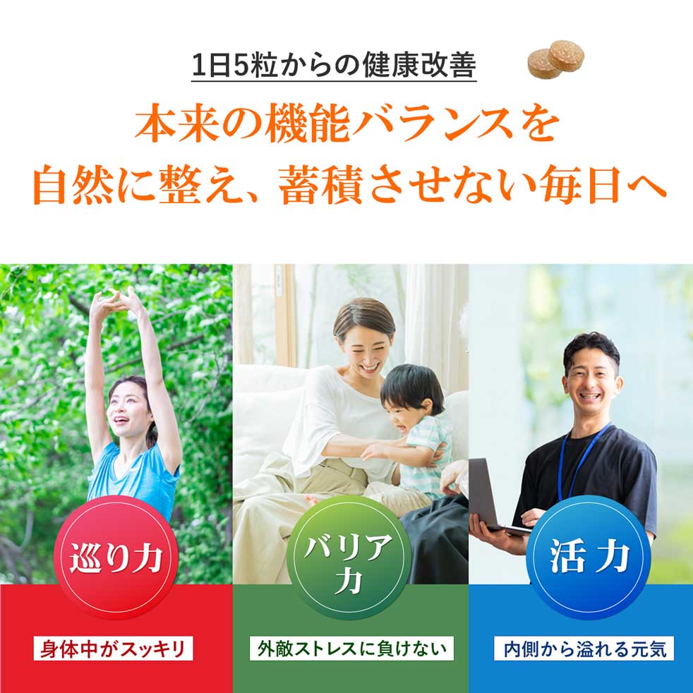 【国立大学共同研究開発】ガノデリン酸抽出霊芝 輝き-錠剤