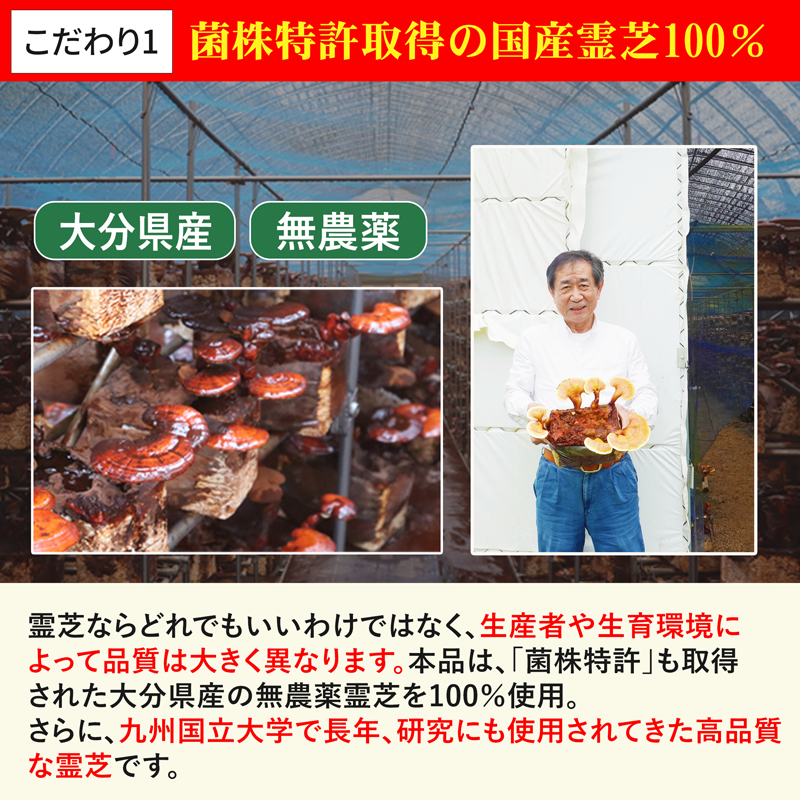 【国立大学共同研究開発】ガノデリン酸抽出霊芝 輝き-錠剤