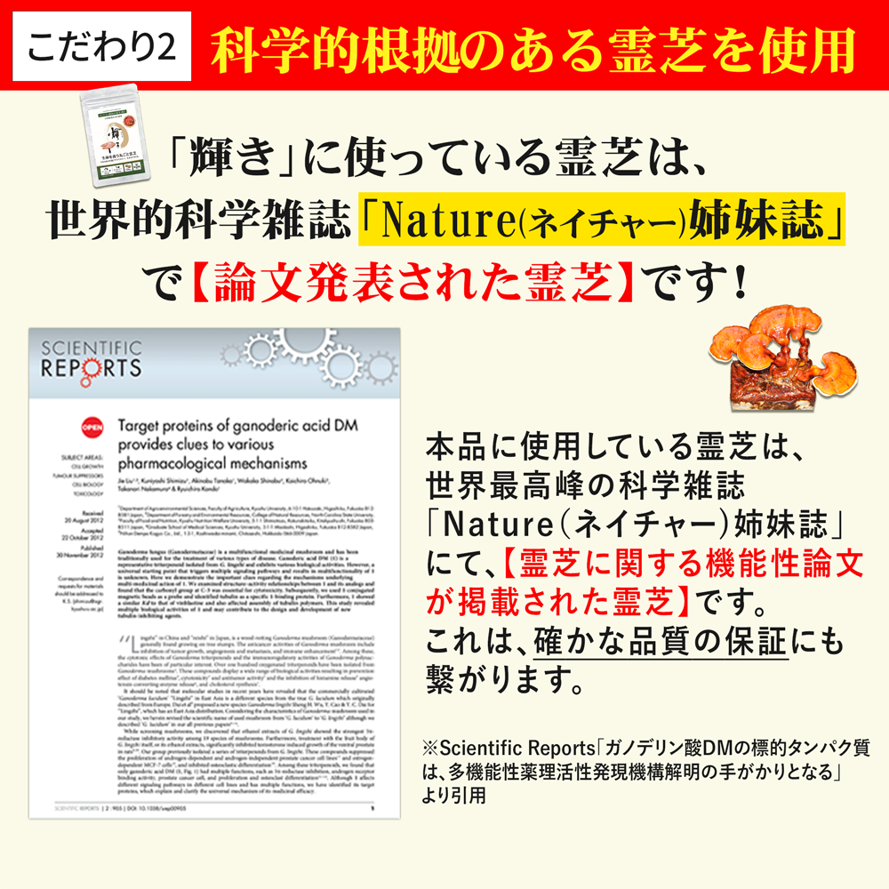 【国立大学共同研究開発】ガノデリン酸抽出霊芝 輝き-錠剤