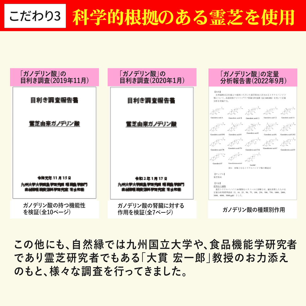 【国立大学共同研究開発】ガノデリン酸抽出霊芝 輝き-錠剤