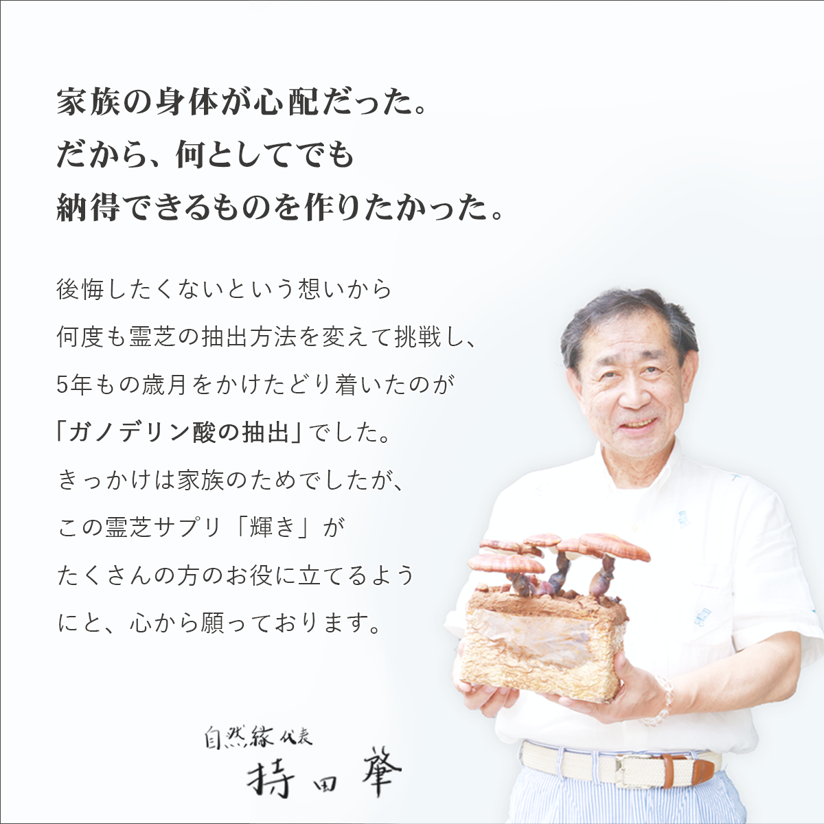 【粉末】ガノデリン酸抽出霊芝 輝き