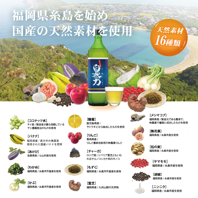 ココナッツ酵素飲料 自然力