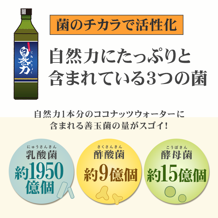 ココナッツ酵素飲料 自然力