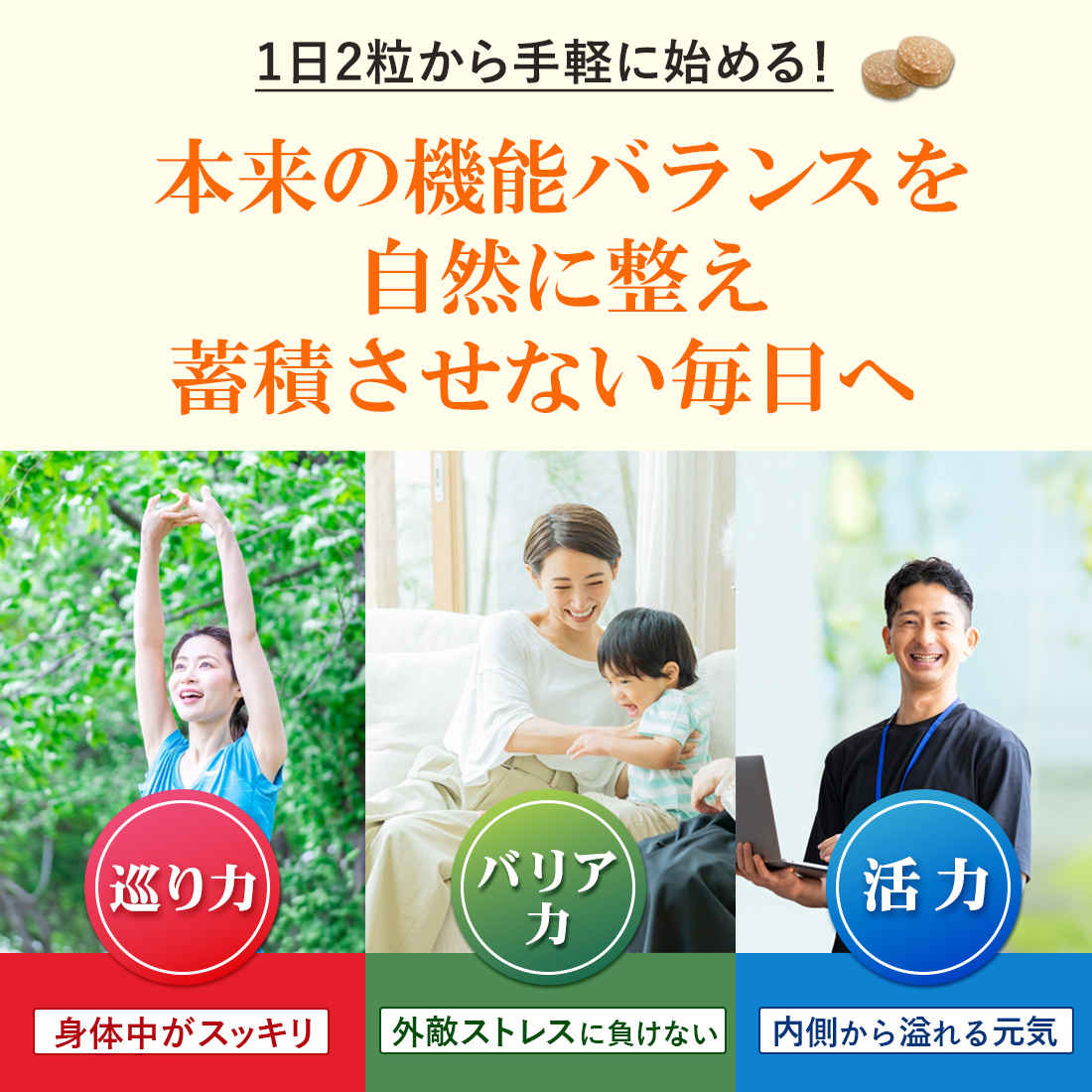 ガノデリン酸抽出霊芝サプリ 輝き[60粒]｜“ゆらぎ”を整える健康習慣に｜国産霊芝×大学研究開発 ※ポスト投函