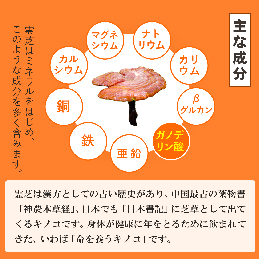 ガノデリン酸抽出霊芝サプリ 輝き[60粒]｜“ゆらぎ”を整える健康習慣に｜国産霊芝×大学研究開発 ※ポスト投函