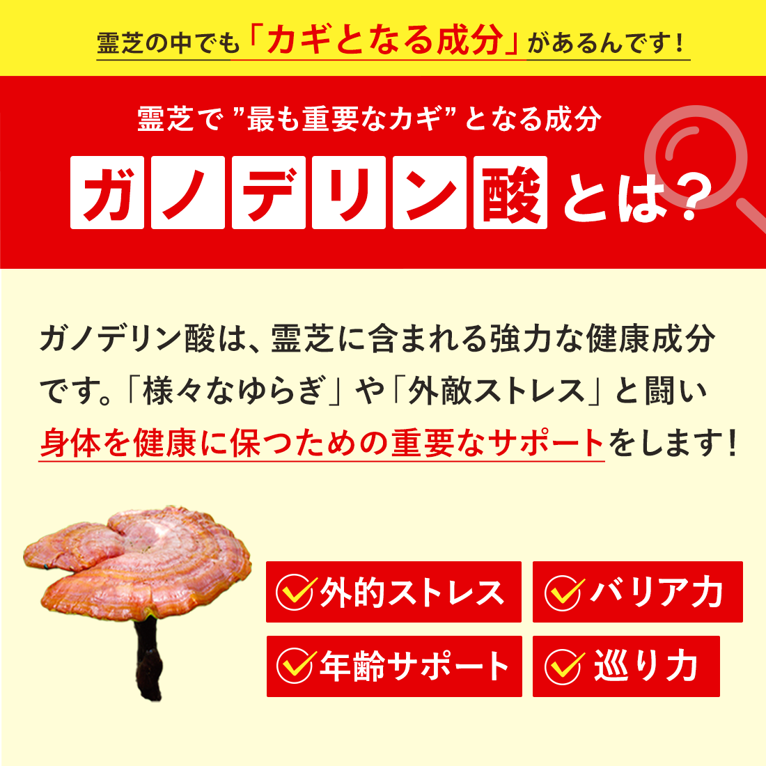 ガノデリン酸抽出霊芝サプリ 輝き[60粒]｜“ゆらぎ”を整える健康習慣に｜国産霊芝×大学研究開発 ※ポスト投函