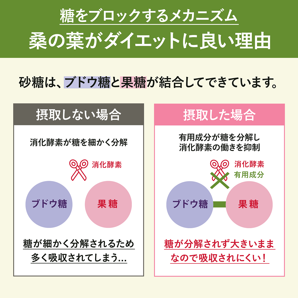 【糖抑制セット】桑乙女1袋＋くわの葉茶1袋※送料無料