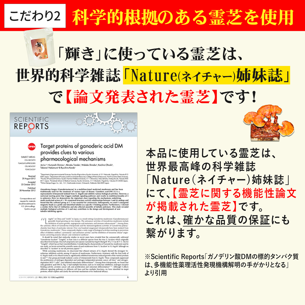 【定期便】高濃度粉末|ガノデリン酸抽出霊芝 輝き