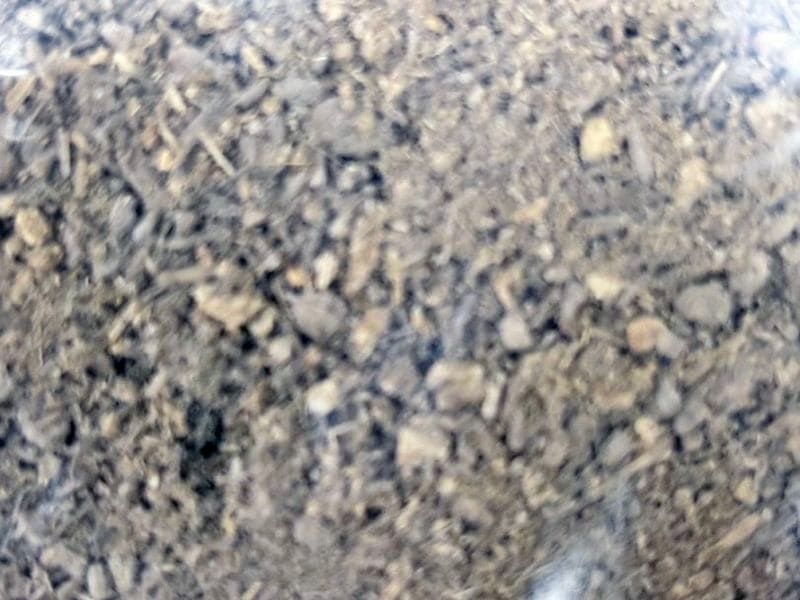 ����ܥ�ĥΤ䥴�ۥ�ĥΤ˥�������!!  NEW�Х�֡�(��)�ޥå� 1 �� 5��åȥ�