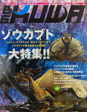 ビークワ　BEKUWA 　27冊 ビークワ81号（BE・KUWA） クワガタ飼育レコード コンテスト!!