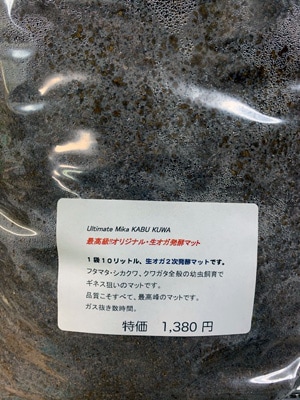 マンディブラリスフタマタで驚異の107mm羽化した アルティメット