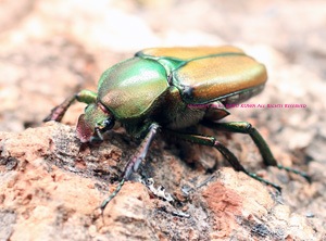 2019,5/25 WILD ޥ󥿥ءǹ!! ƥɥȥ ñʱ­޷礱