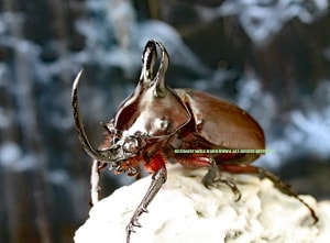 2023-9/10 ����WILD�����ء��İ���!! �ӥ�ޥ˥��� No,3����Free B�ڥ�