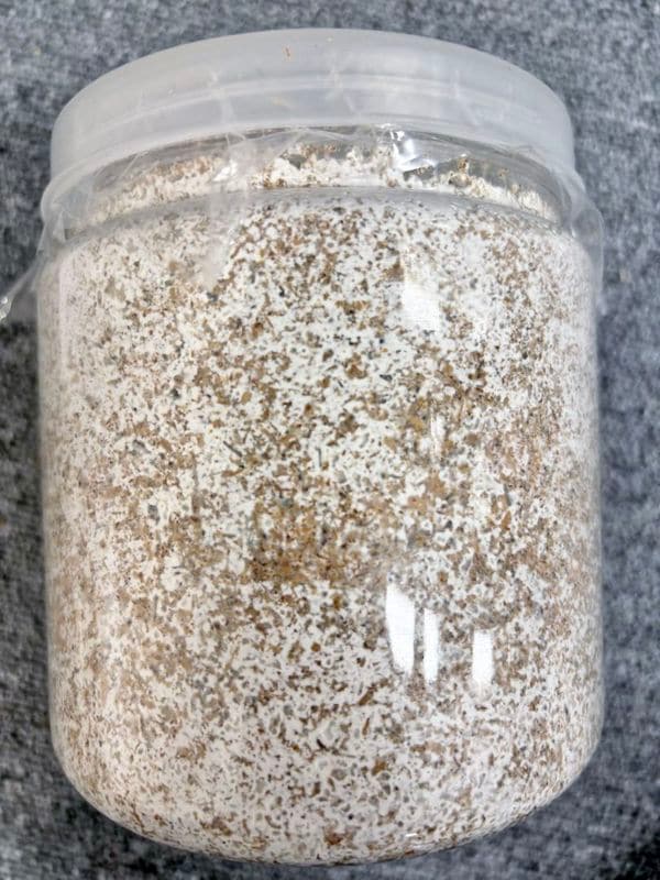 11/30����ͽ��(11/30����в٤��ޤ�)�� �������ȥ��åǥ��ݻ�(�Ƽ�ե��ޥ�&��������˥�������) �գ�1400���