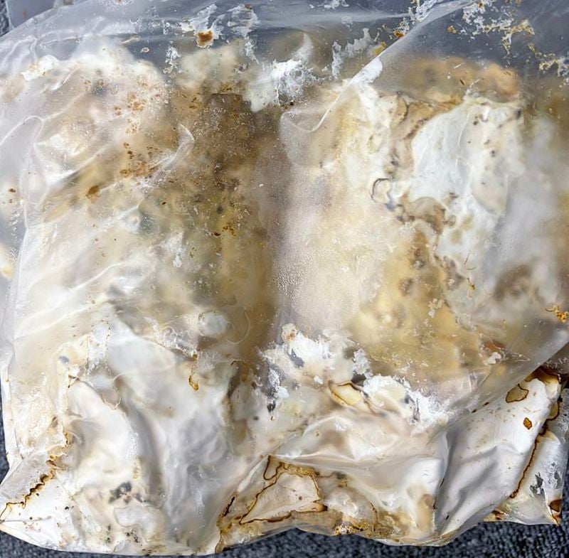 10/31٤ޤʤǤǹʼ!! (͹)쥤ࡡM (2)