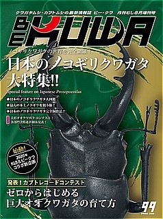 2026年 4月17日入荷しました BEKUWA 日本のノコギリクワガタ大特集