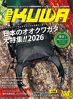 2026年 7月10日入荷しました BEKUWA 日本の オオクワガタ 大特集!! No