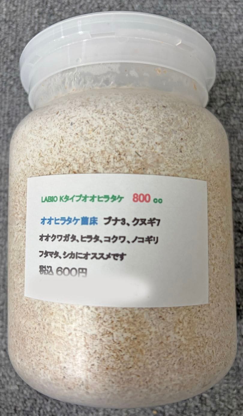 10/17入荷 LABIOオオヒラタケ(ブナ30%クヌギ70%) 800cc | Ultimate