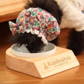 kanbatsu  LAVISH single dish ��ӥå��奷�󥰥�ǥ��å���