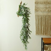 Brown. ֥饦 ե꡼ ӥ  ֥롼