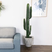 Brown. �֥饦�� �ե��������꡼�� �쥵�ܥƥ� �ݥå� 147cm