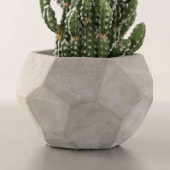 FARM �ե����� �ݥåȥ��С� ����� 13