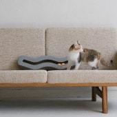 K&H ��������ɥ����� �ޤȤ� �����ܥ�ܥå����ȥ� TRACKN' ROLL