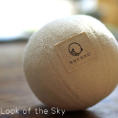 necono �ͥ��� ǭ�Τ������ ���